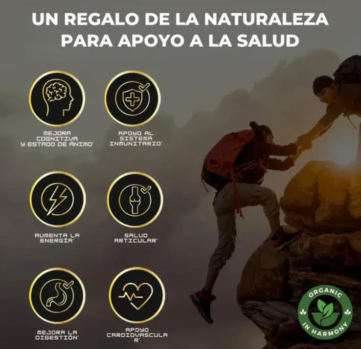 Gomas Shilajit: Energía y claridad mental al instante, vitalidad que dura 🔋💪🏼🤸